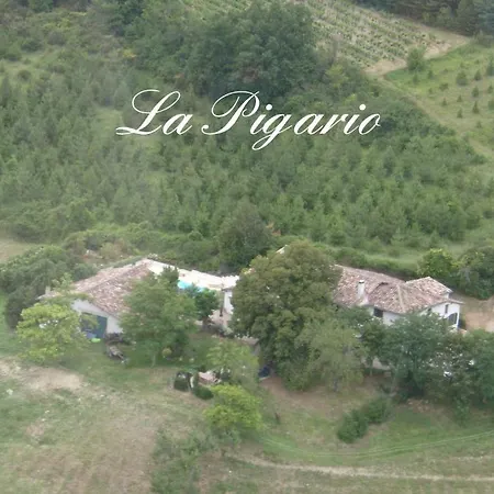 La Pigario *