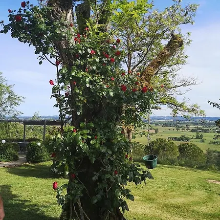 La Pigario